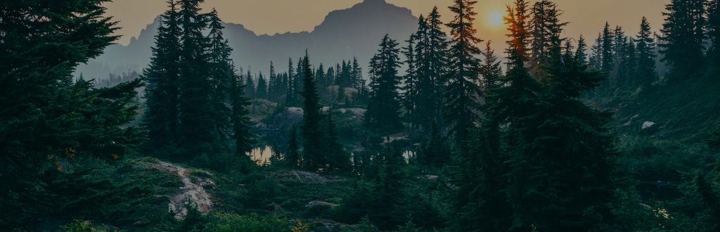 porte pvc six fours les plages var